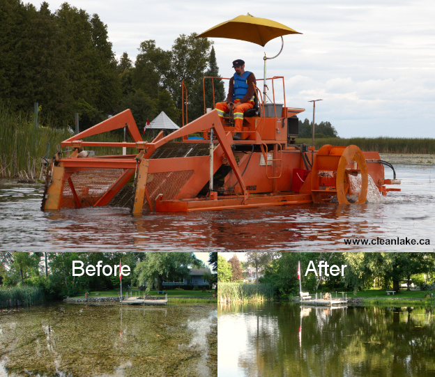 Aquatic weed harvesting Aquatic weed harvesting